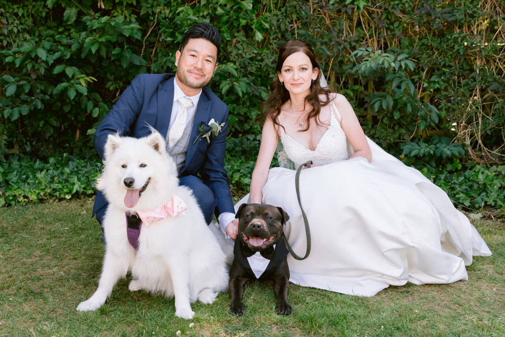 Couple getting married with their pets