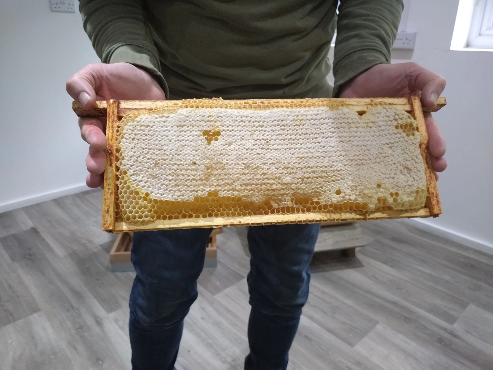 A person holding up a beehive