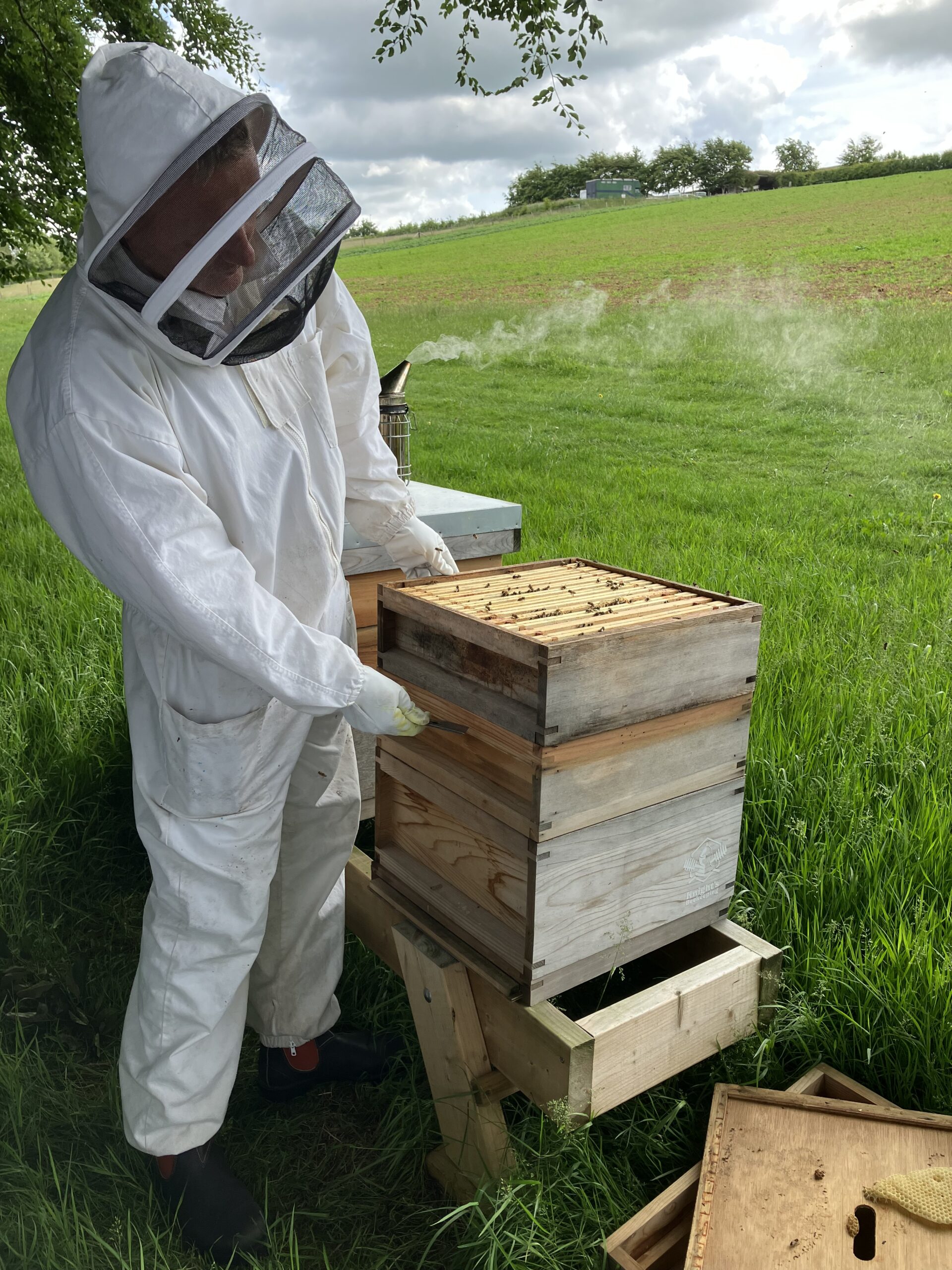 A team member in beekeeper uniform