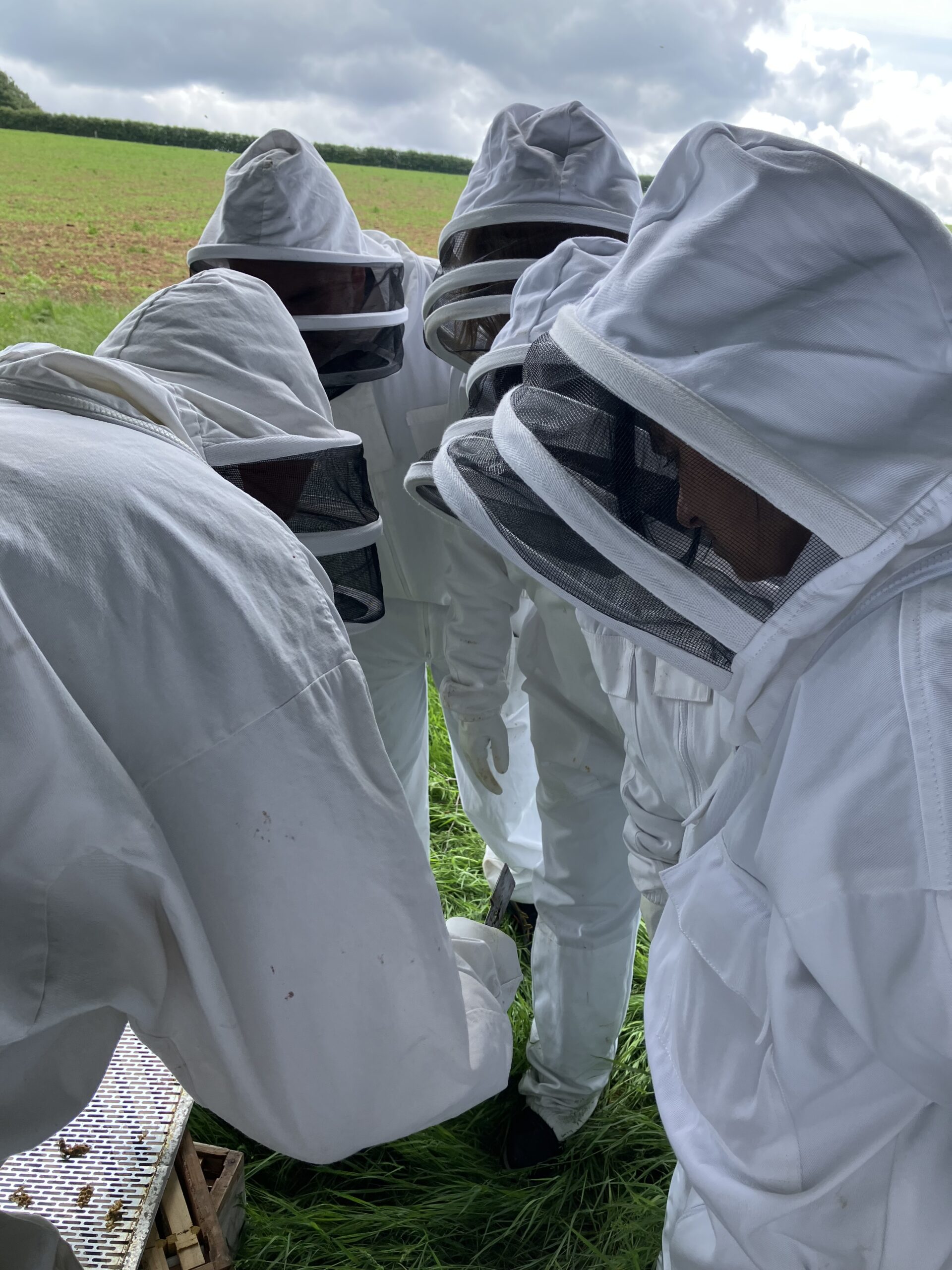The team dressed up in beekeeper outfit