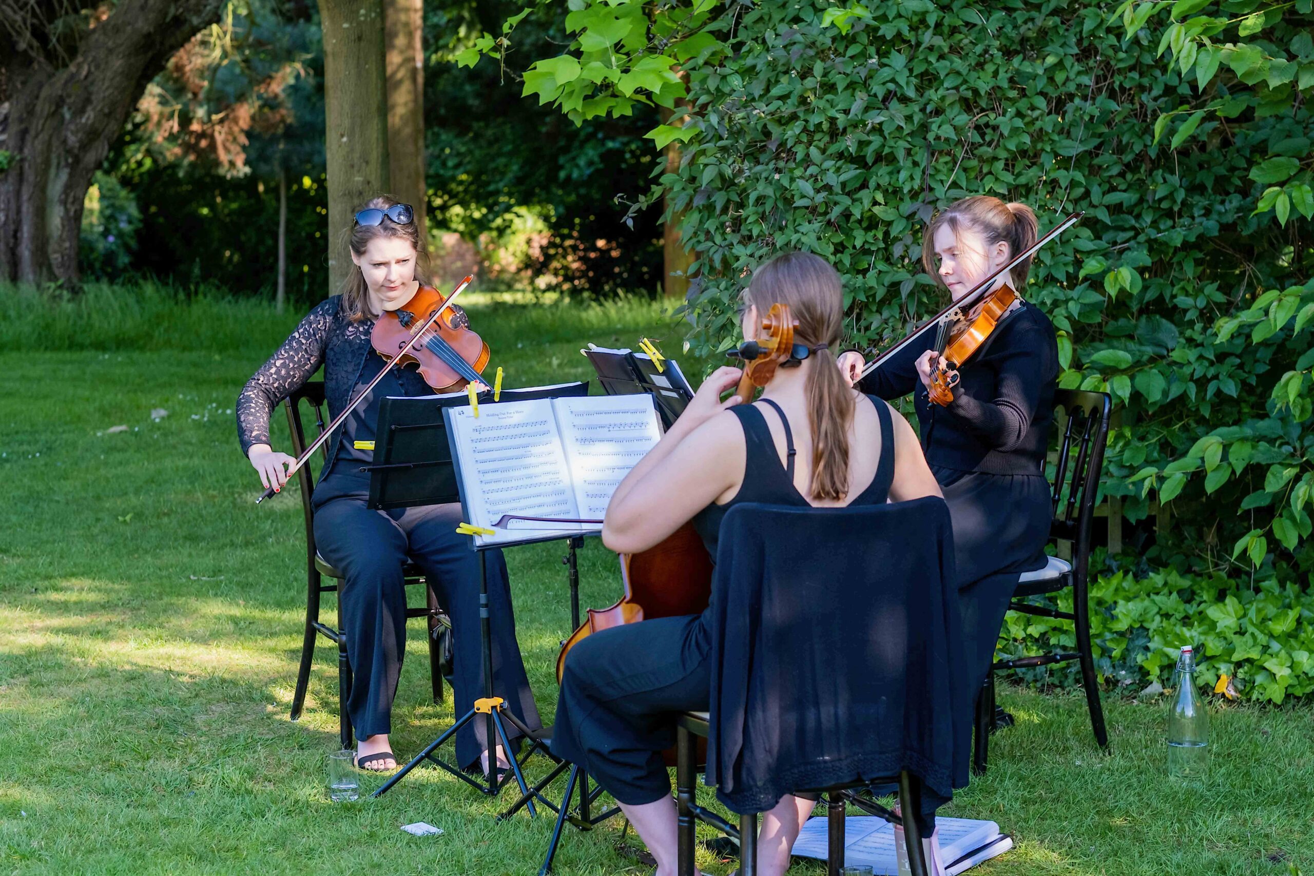 Three musicians playing music in the garden, two playing violin, 1 cello